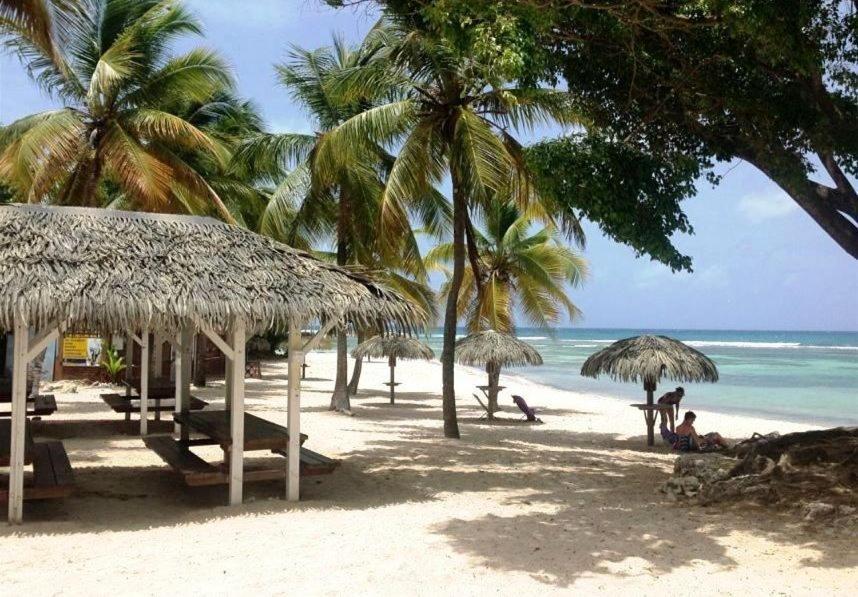 Le Ti'Paradise Anse Des Rochers Belle-Allee ภายนอก รูปภาพ