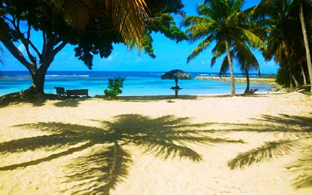 Le Ti'Paradise Anse Des Rochers Belle-Allee ภายนอก รูปภาพ